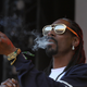 Snoop Dogg. Merry Jane